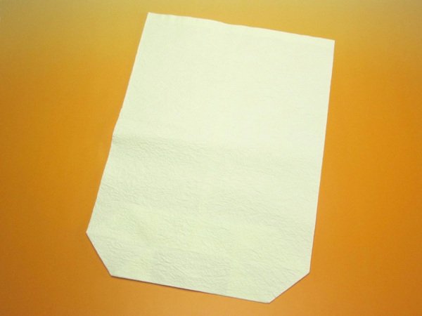 画像1: 和紙袋 モミ (1)